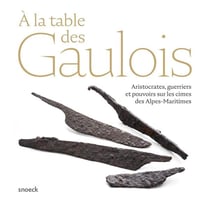 À la table des Gaulois - aristocrates, guerriers et pouvoirs sur les cimes de Alpes-Maritimes