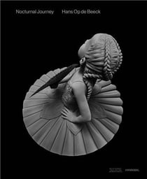 Hans Op de Beeck : Nocturnal journey