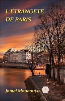 L'étrangeté de Paris