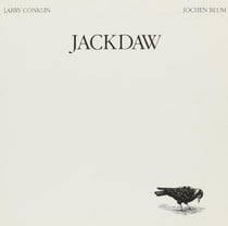 Jackdaw