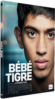 Bébé tigre