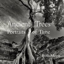 ANCIENT TREES