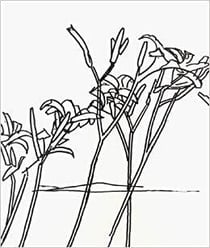 Alex katz & robert creeley edges