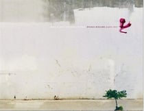 Broken windows - graffiti nyc