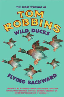 Wild ducks flying backward