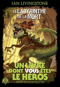 Défis fantastiques Tome 5 : le labyrinthe de la mort