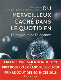 Du merveilleux caché dans le quotidien - la physique de l'élégance