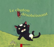 Chaton Desobeissant