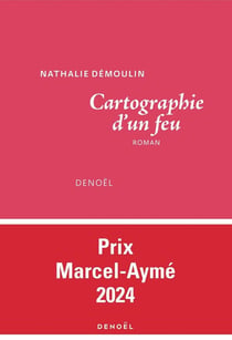 Cartographie d'un feu