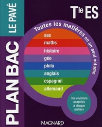Le pavé - terminale es