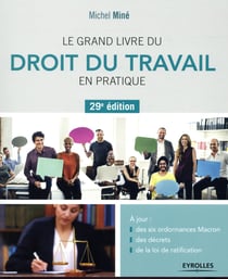 Droit du travail en pratique (29e édition)