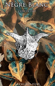 Nègre blanc - collectio