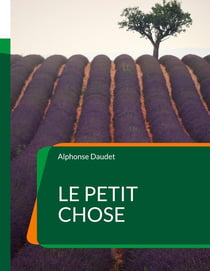Le petit chose