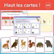 Haut les cartes ! niv. 2 PS