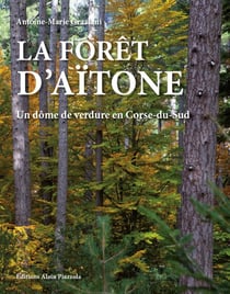 La forêt d'Aïtone - un dôme de verdure en Corse du sud
