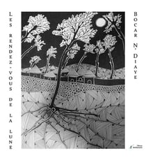 Les rendez-vous de la lune