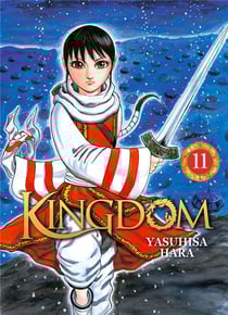 Kingdom Tome 11