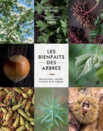 Les bienfaits des arbres - reconnaître, récolter, cuisiner et se soigner