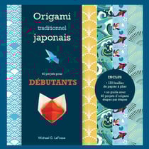 Origami traditionnel japonais : Débutants - Kit complet avec un livret et 120 feuilles