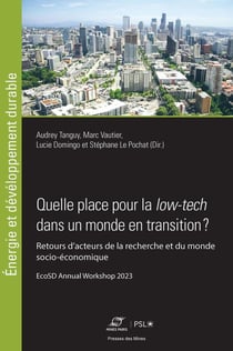 Quelle place pour la low-tech dans un monde en transition ? Retours d'acteurs de la recherche et du monde socio-économique : EcoSD Annual Workshop 2023