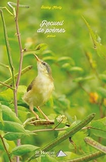 Recueil de poemes