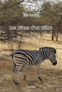 Les reves d'un zebre