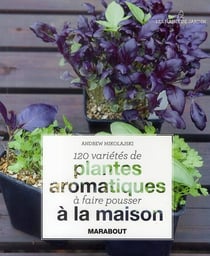 120 variétés de plantes aromatiques à faire pousser à la maison