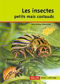 Les insectes - petits mais costauds