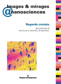 Images & mirages @ nanosciences : Regards croisés