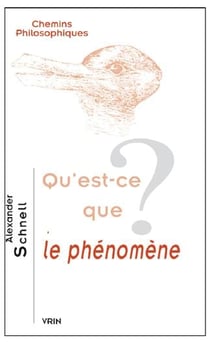Qu'est-ce que le phénomène ?