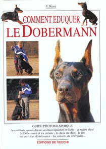 Comment eduquer le doberman guide photo