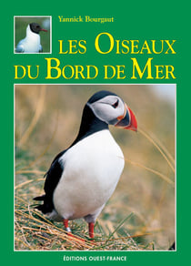 Les oiseaux du bord de mer