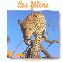Les felins