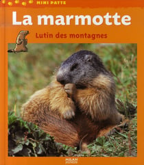 La marmotte, lutin des montagnes