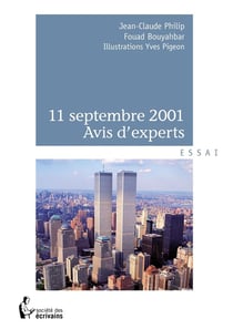 11 septembre 2001, avis d'experts