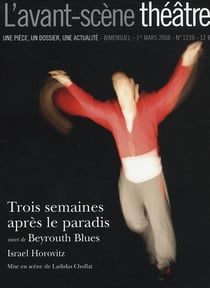 Trois Semaines Après le Paradis : Beyrouth Blues