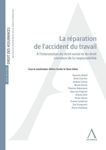 La réparation de l'accident du travail : à l'intersection du droit social et du droit commun de la responsabilité (1re édition)