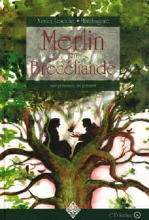 Merlin en Brocéliande - une présence, un présent