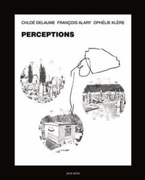 Perceptions