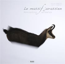 Rencontres animales dans le massif jurassien