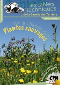 Sur le chemin des plantes sauvages