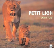 Petit lion