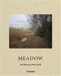 Nicholas Pollack : meadow