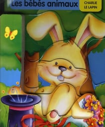 Charlie le lapin