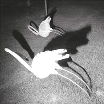 A Mimesis Of Nothingness