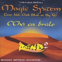 C cho, ca brûle (rai'n b fever 2)