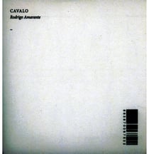 Rodrigo Amarante