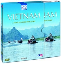 Vietnam - Du Tonkin à la Conchinchine, Quand un dragon s'éveille