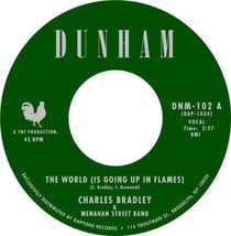 The World (Is Going Up In Flames)
