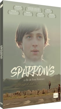 Sparrows